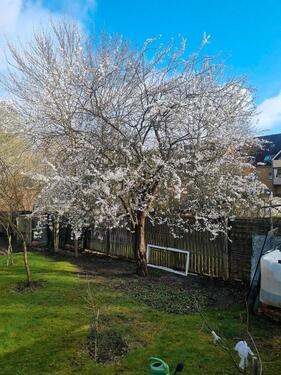Foto - Einfamilienhaus in Lübeck
