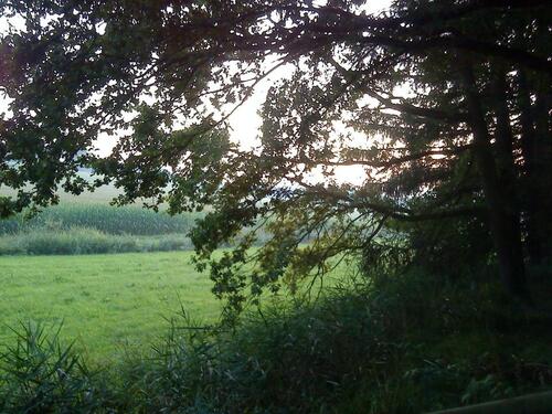 Foto - Grundst&uuml;ck zum Kaufen in Diedorf