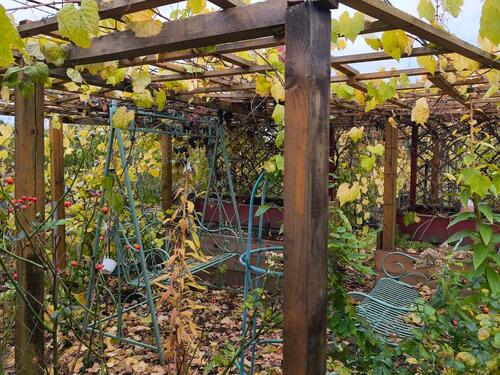 Foto - Grundst&uuml;ck zur Miete in Rostock