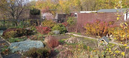 Foto - Kleingarten im KGV 'Anger Crottendorf'