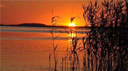 Foto - andere zur Miete in Usedom