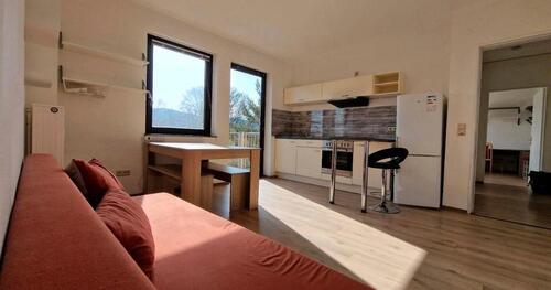 Foto - 1 Zimmer Etagenwohnung zur Miete in Trier