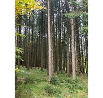 Waldstück bei Weilheim-Otting - 5,00 EUR Kaltmiete, ca.  0,00 m² in Donauwörth (PLZ: 86609)