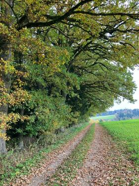 Foto - Grundst&uuml;ck zur Miete in Donauwörth