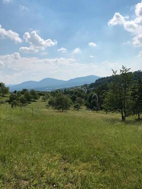 Foto - Idyllisches Wiesengrundstück mit Ausblick zu verpachten