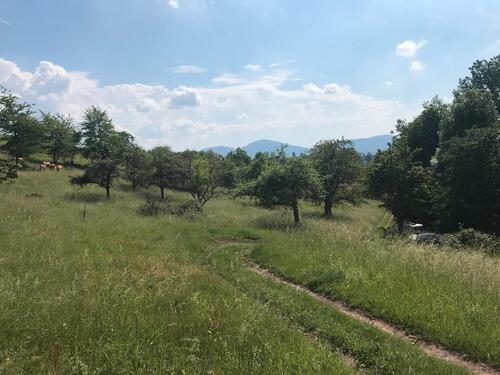 Foto - Grundst&uuml;ck in Gaggenau