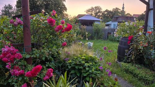 Foto - Grundst&uuml;ck zur Miete in Markkleeberg