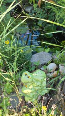 Foto - Grundst&uuml;ck in Markkleeberg zur Miete