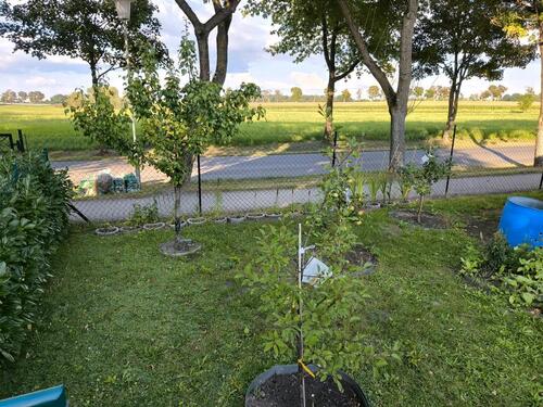Foto - Garten zu verkaufen - 7.000,00 EUR Kaufpreis,