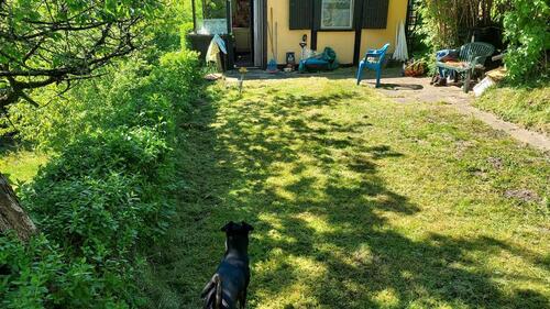 Foto - Privates Gartengrundstück in Thüringen ,Stadtroda 07646