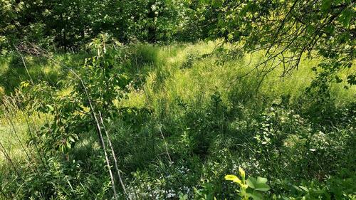 Foto - Bungalow zum Kaufen in Stadtroda