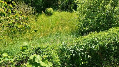 Foto - Bungalow in Stadtroda zum Kaufen