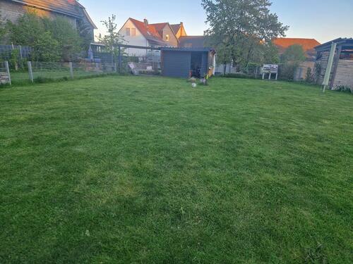 Foto - 7 Zimmer Einfamilienhaus in Allendorf (Eder)