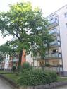 Foto - Kompakte 2-Zimmer-Wohnung mit Balkon