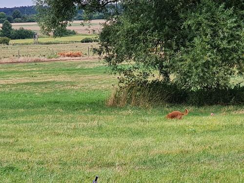 Foto - Sonnige Wohnung - 455,00&nbsp;EUR Kaltmiete, ca.&nbsp; 95,00&nbsp;m&sup2;