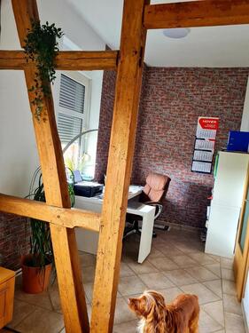 Foto - 2 Zimmer Etagenwohnung in Kuhfelde