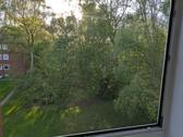 Foto - Großzügige 4-Zimmer-Wohnung in Altengroden inkl. Stellplatz!