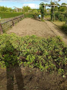 Foto - Grundst&uuml;ck zur Miete in Cremlingen