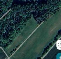 Wald Grundstück - 2,00&nbsp;EUR Kaltmiete, ca.&nbsp; 0,00&nbsp;m&sup2; in Bruchmühlbach-Miesau (PLZ: 66892)