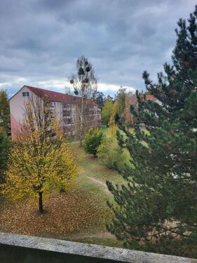 Foto - Renovierungsbonus! Großzügige 3 -Raumwohnung mit Tageslichtbad, Balkon und Aufzug!
