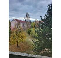 Renovierungsbonus! Großzügige 3 -Raumwohnung mit Tageslichtbad, Balkon und Aufzug! - Neuhardenberg