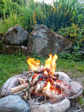 Foto - Einfamilienhaus in St. Blasien zum Kaufen