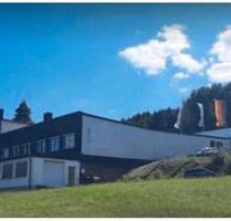 Lagerhalle oder Werkstatt (CNC) und Büro. Garage und Stellplätze - Ehringshausen