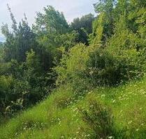 Montenegro, Das Grundstück am Meer ist eine gute Investition - Neckarsulm