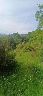 Foto - Grundstück in Neckarsulm zur Miete