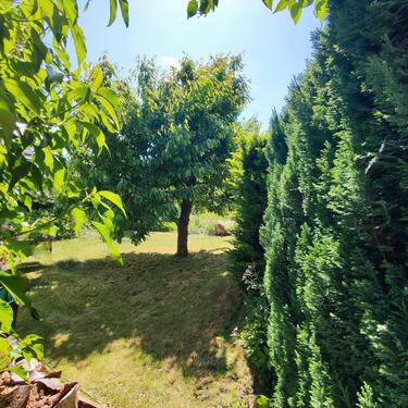 Foto - Reihenhaus in Hartha zum Kaufen