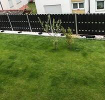 4 Zimmer ELW - 1.650,00&nbsp;EUR Kaltmiete, ca.&nbsp; 100,00&nbsp;m&sup2; in Grafenau (PLZ: 71120)