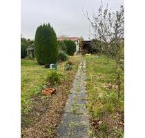 Schöner Garten - 1.000,00 EUR Kaltmiete, ca.  0,00 m² in Groitzsch (PLZ: 04539)