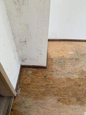 Foto - Einfamilienhaus in Apolda zum Kaufen