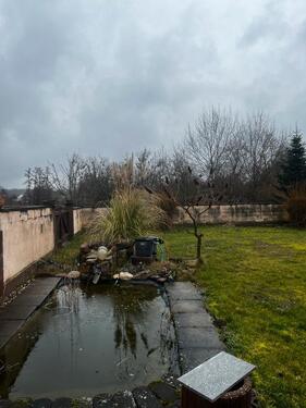 Foto - Einfamilienhaus in Scheibenhardt zum Kaufen