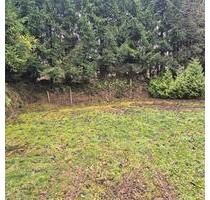 Stellplatz, Winterabstellplatz - 240,00 EUR Miete, in Blomberg (PLZ: 32825)