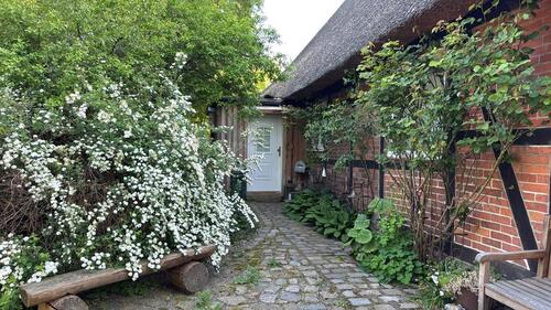 Foto - 8 Zimmer Einfamilienhaus zum Kaufen in Nusse