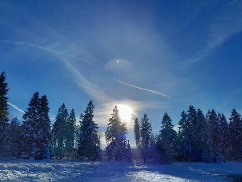 Foto - sonnige Eigentums-Ferienwohnung