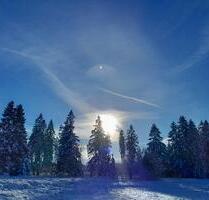 sonnige Eigentums-Ferienwohnung - Goslar OS Hahnenklee-Bockswiese