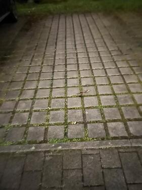 Foto - Offener Parkplatz zu vermieten ab 01.04.26