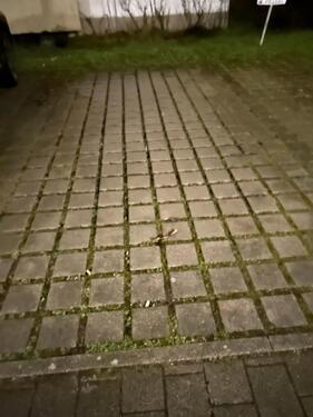 Foto - andere zur Miete in Heidelberg