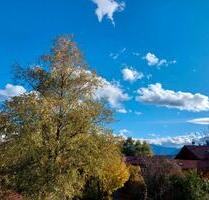 3 Zi Whg renoviert in ruhiger Lage Ratzinger Höhe Rimsting