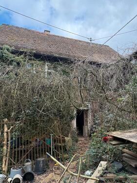 Foto - 6 Zimmer Bauernhaus, Landhaus in Kriegsfeld