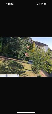 Foto - Einfamilienhaus zum Kaufen in Steinwenden