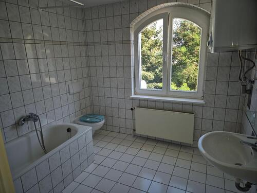 Foto - Frühlingszeit ist Umzugszeit- 1-Raum-Wohnung in Radegast