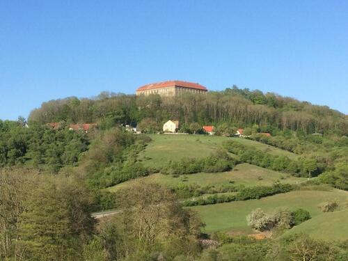 Foto - ❤️ Urlaub mit Hunden im wunderschönen Mittelfranken ❤️