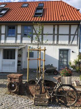 Foto - 7 Zimmer Einfamilienhaus zum Kaufen in Groß Twülpstedt