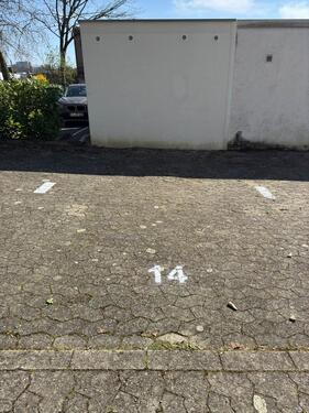 Foto - andere in Freiburg im Breisgau