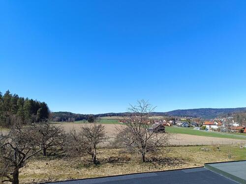 Foto - Einfamilienhaus in Friedenfels zum Kaufen