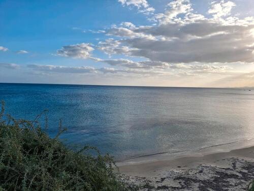 Foto - Ferienwohung in Hammamet Tunesien