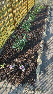 Foto - Grundst&uuml;ck zur Miete in Ueckermünde